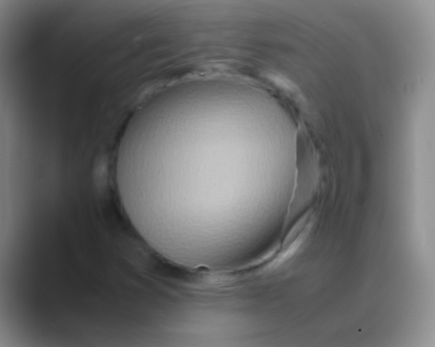 X0000088721353200706282055