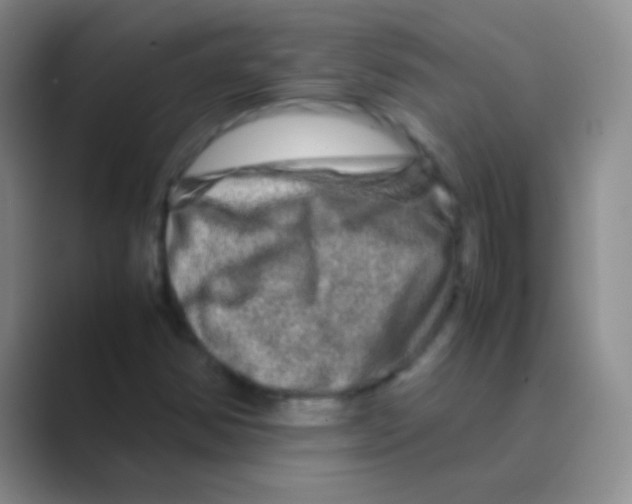 X0000088721354200706282055