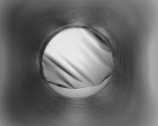 X0000088721356200706282055