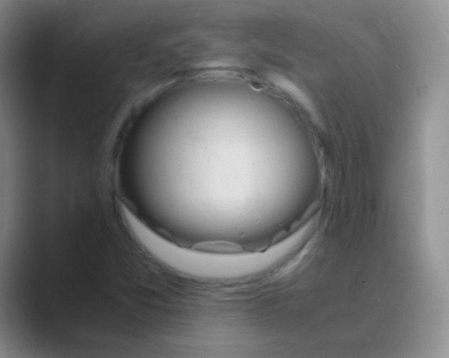 X0000088721357200706282055