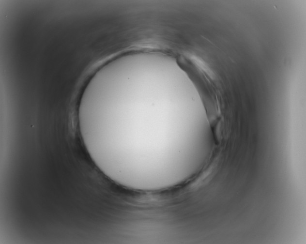 X0000088721358200706282055