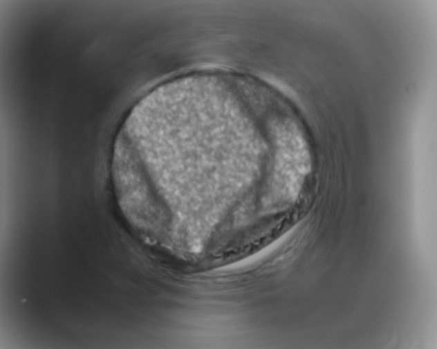 X0000088721359200706282055