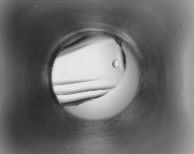 X0000088721360200706282055