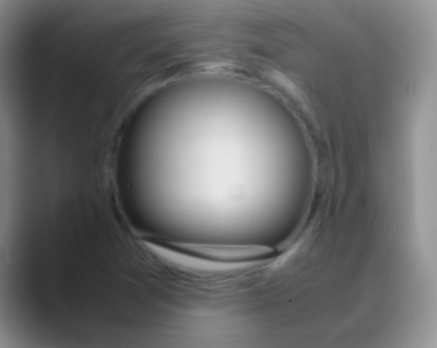 X0000088721361200706282055