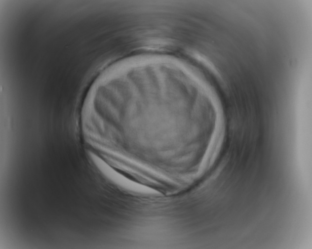 X0000088721362200706282055