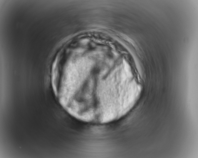 X0000088721363200706282055