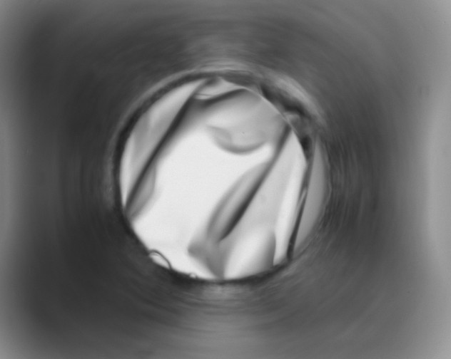 X0000088721364200706282055