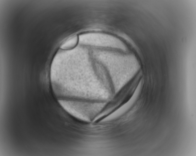 X0000088721366200706282055