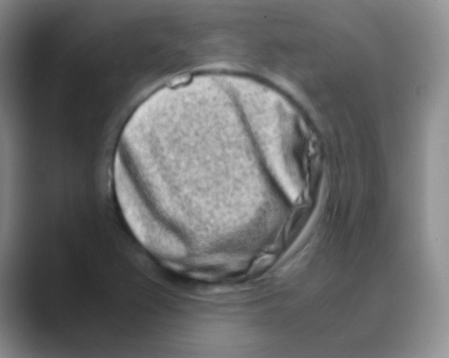 X0000088721367200706282055