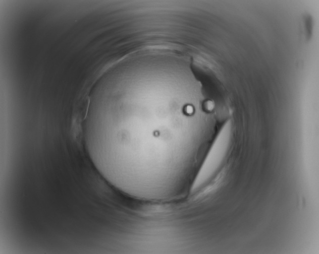 X0000088721369200706282055