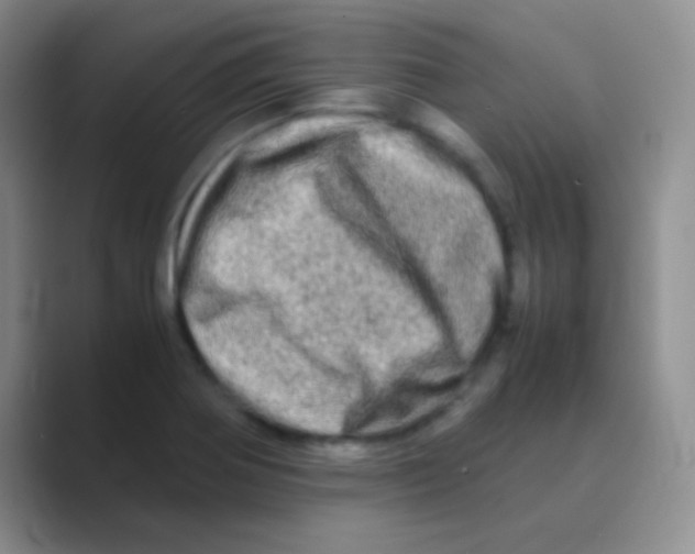 X0000088721370200706282055