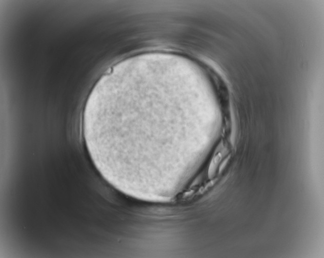 X0000088721371200706282055