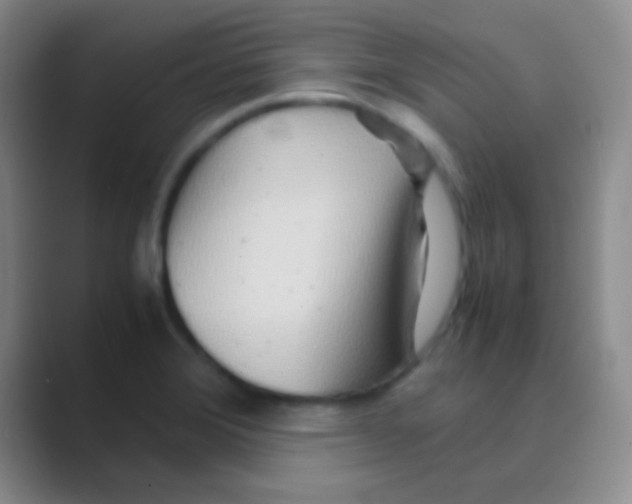 X0000088721372200706282055