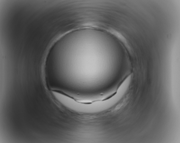 X0000088721373200706282055