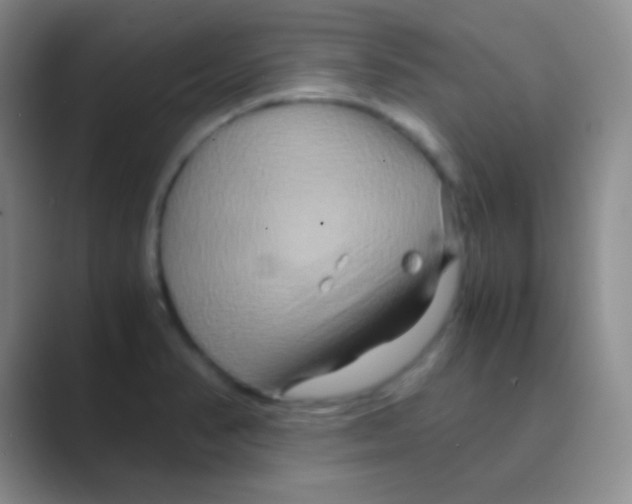 X0000088721374200706282055