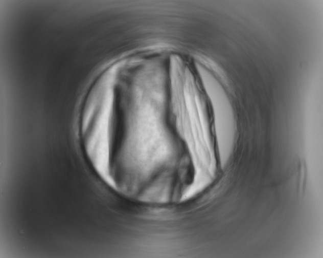 X0000088721375200706282055