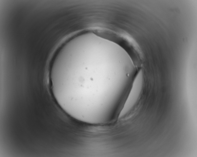 X0000088721376200706282055