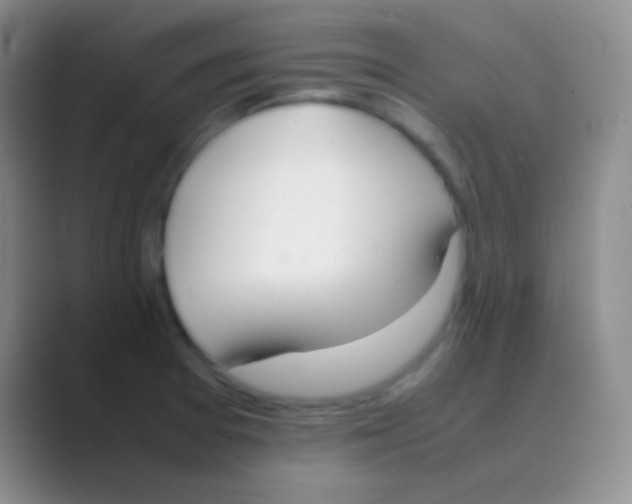 X0000088721377200706282055