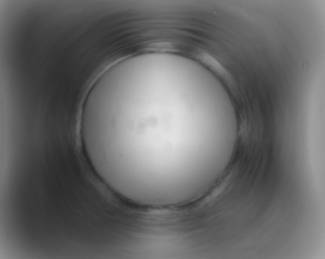 X0000088721378200706282055