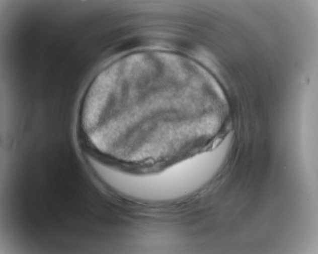 X0000088721379200706282055