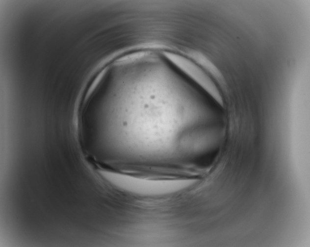 X0000088721380200706282055