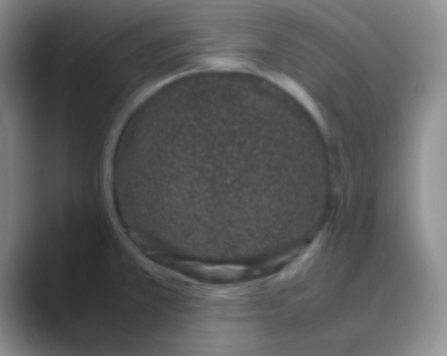 X0000088721381200706282055