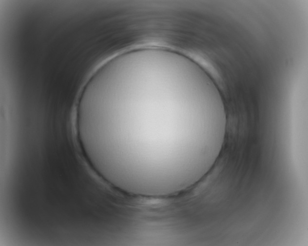 X0000088721382200706282055