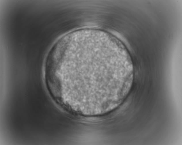 X0000088721383200706282055