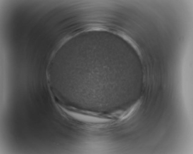 X0000088721385200706282055