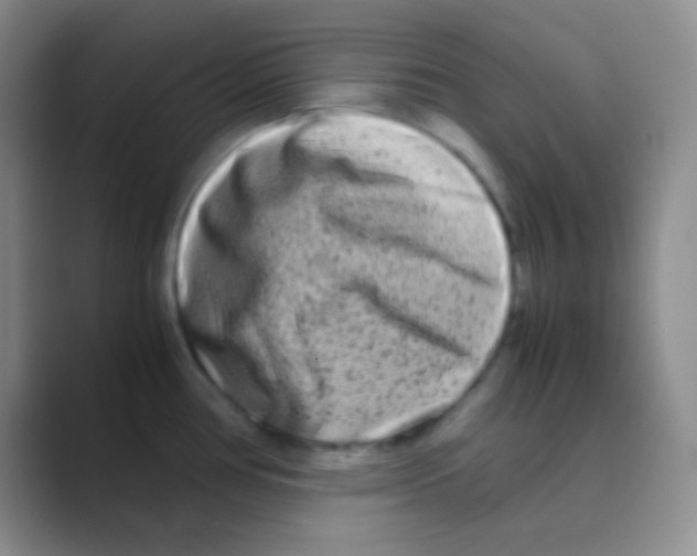 X0000088721386200706282055