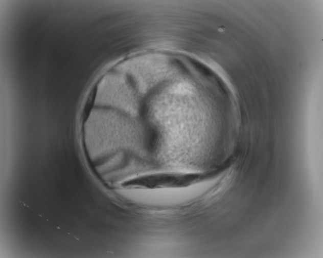 X0000088721389200706282055