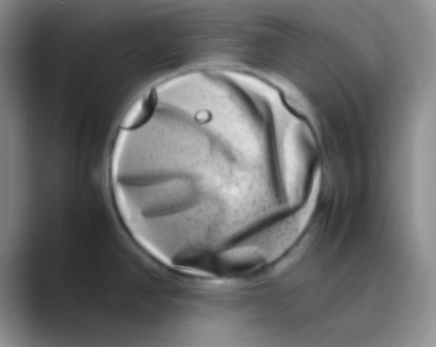 X0000088721390200706282055