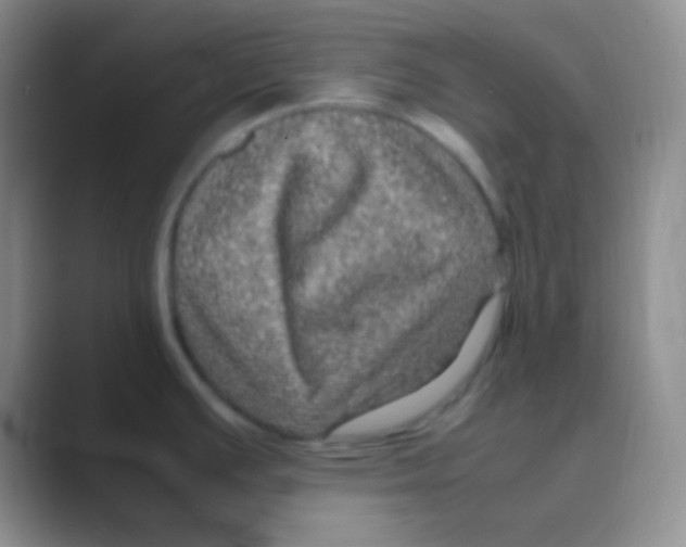 X0000088721391200706282055