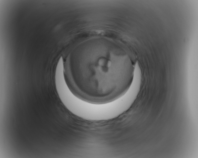 X0000088721394200706282054