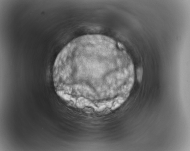 X0000088721395200706282054