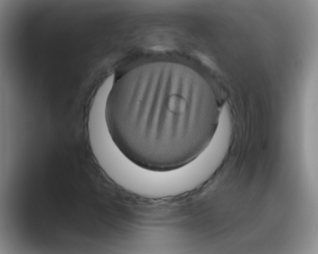 X0000088721398200706282054