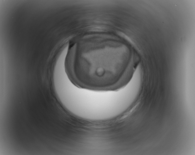 X0000088721402200706282054