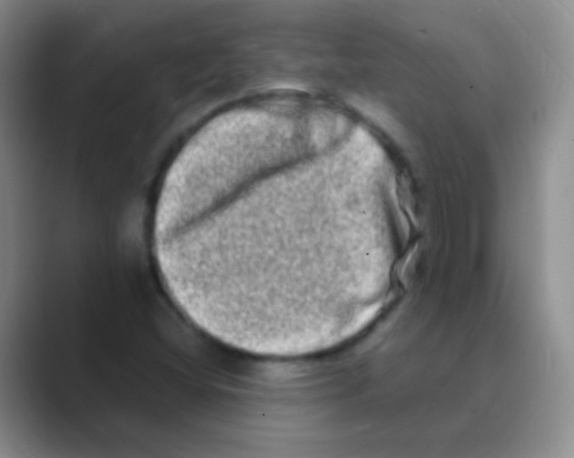 X0000088721404200706282054