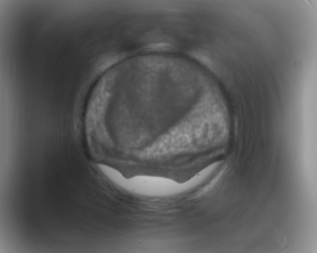 X0000088721405200706282054