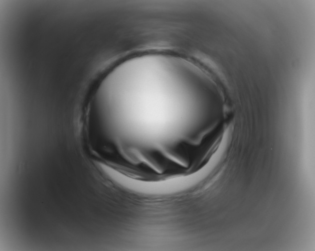 X0000088721406200706282054