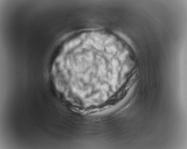 X0000088721407200706282054