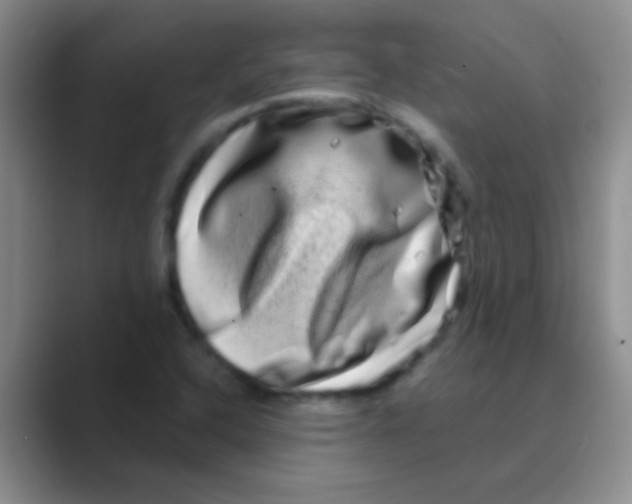 X0000088721408200706282054