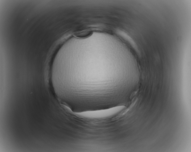 X0000088721411200706282054