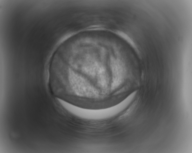 X0000088721413200706282054