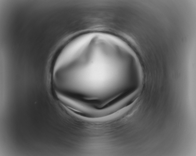 X0000088721414200706282054