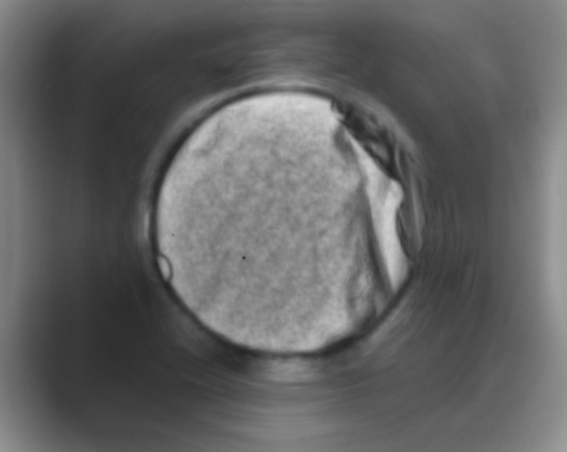 X0000088721416200706282054