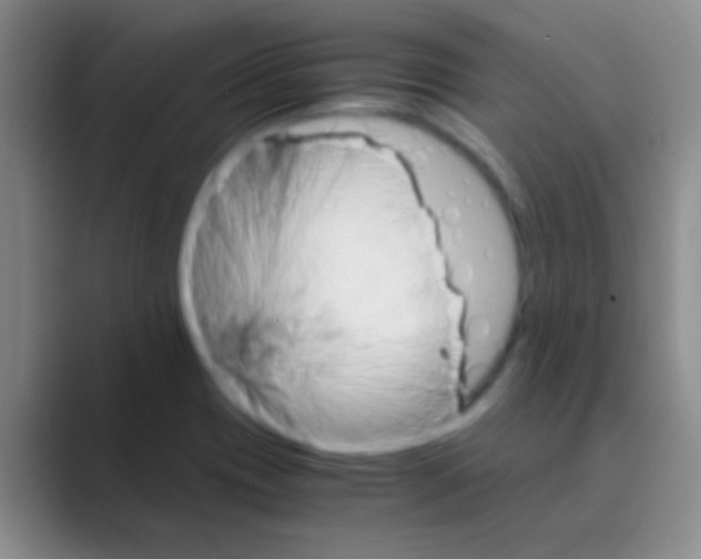 X0000088721417200706282054