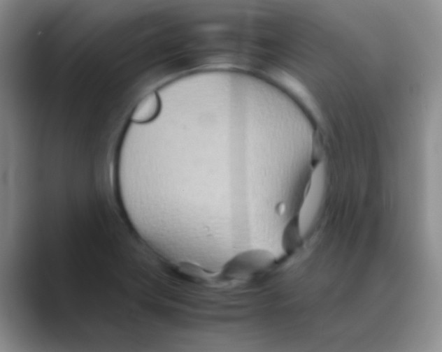 X0000088721419200706282054