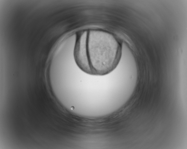 X0000088721420200706282054