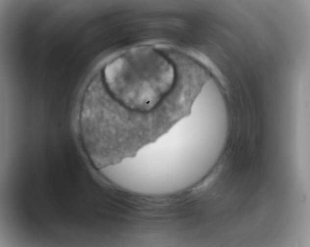 X0000088721421200706282054